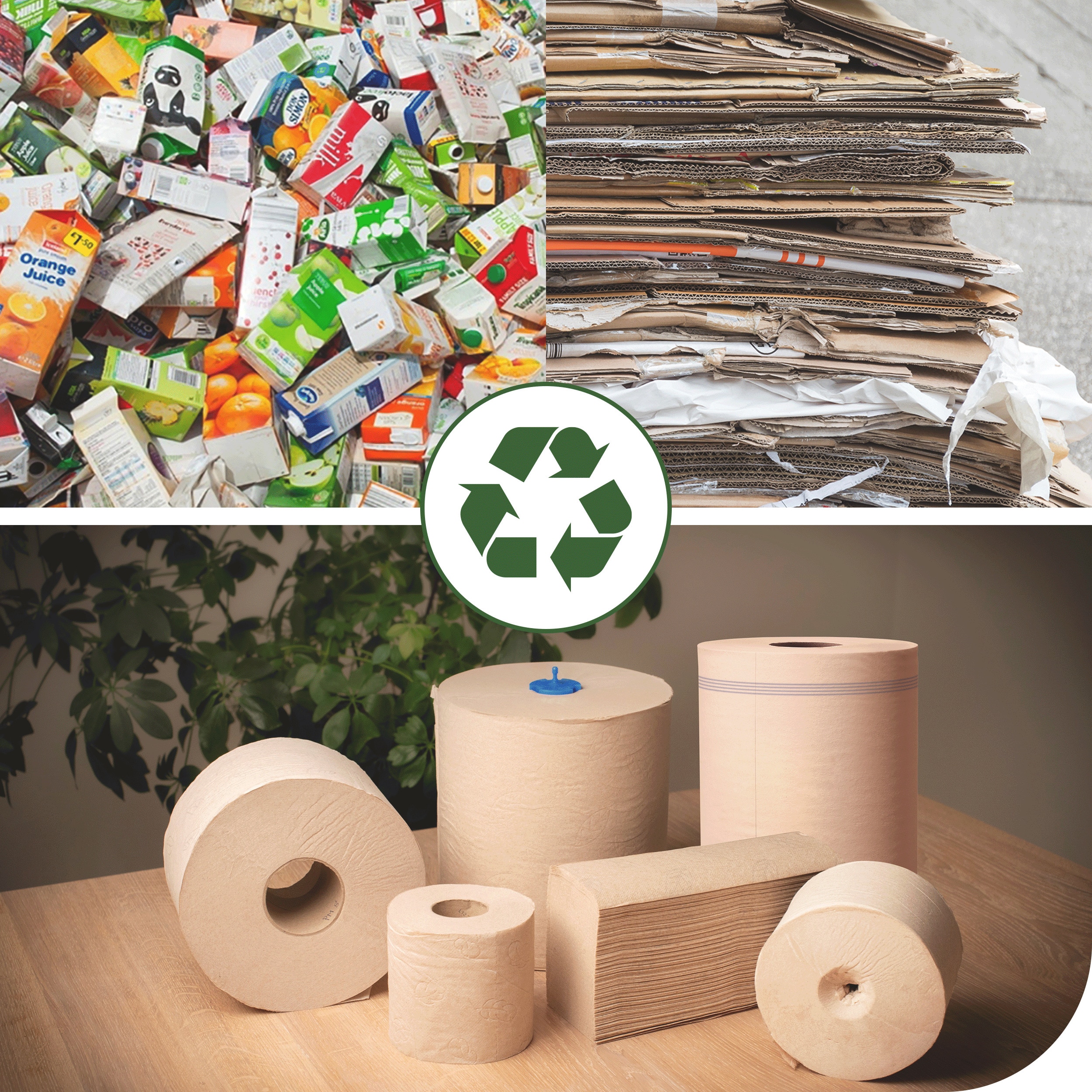 Paper towels in a roll MATIC Advanced 2-ply, H1, 19 cm, 150 m, natural