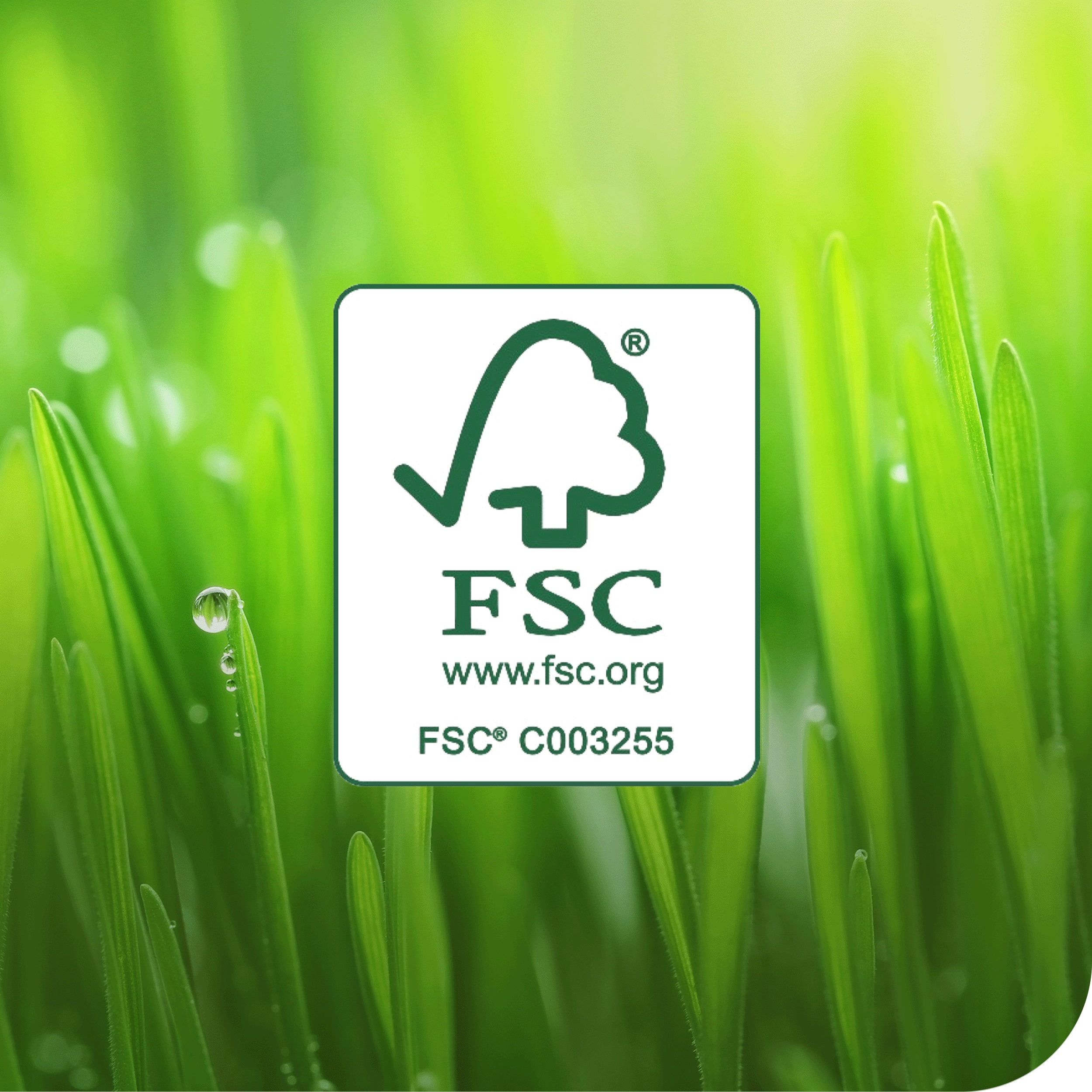 Paper placemats CUISINE 27 x 42 cm / 500 pcs, 1-ply