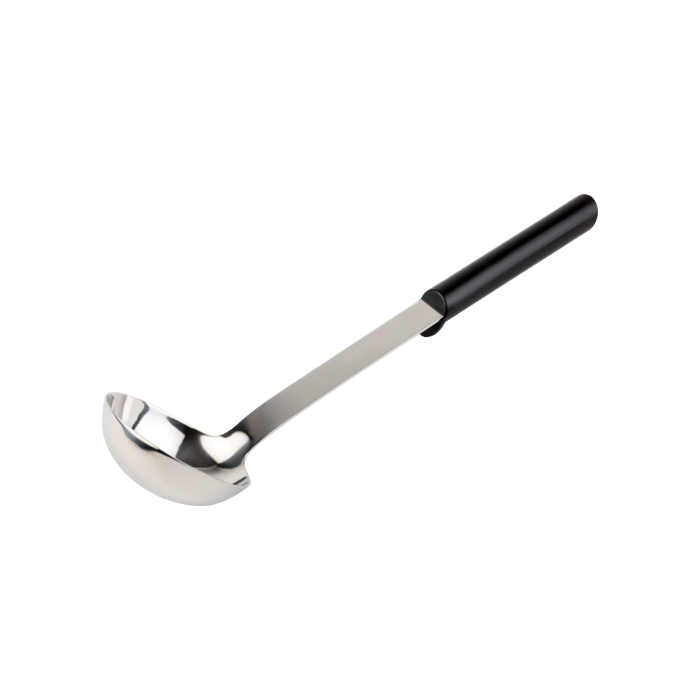 Ladle