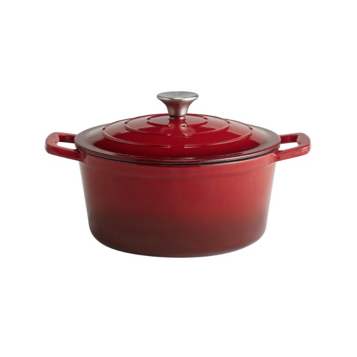Hrnec s poklicí 5 STARS, průměr 25 cm, 5 l, červený