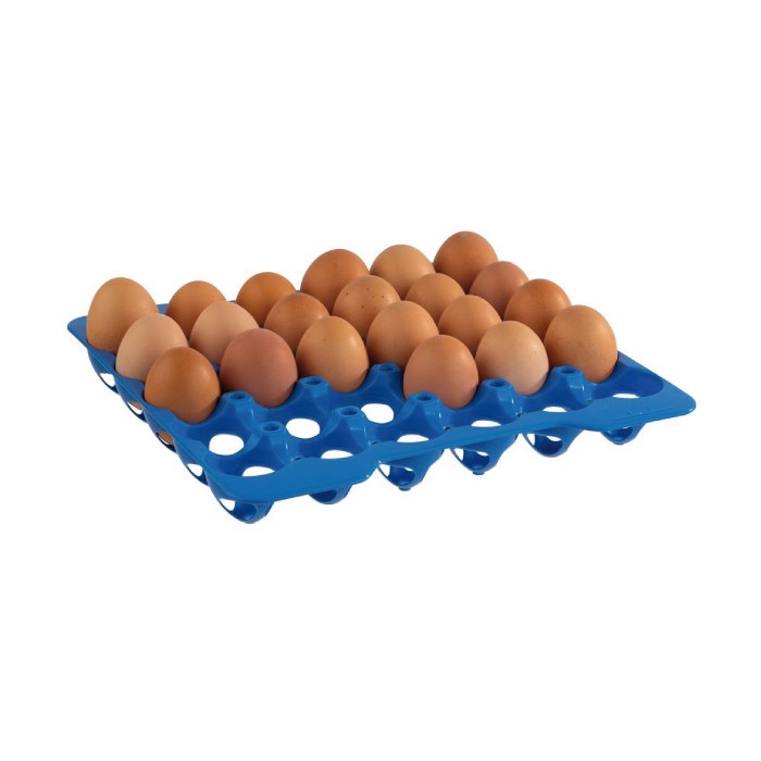 10 trays