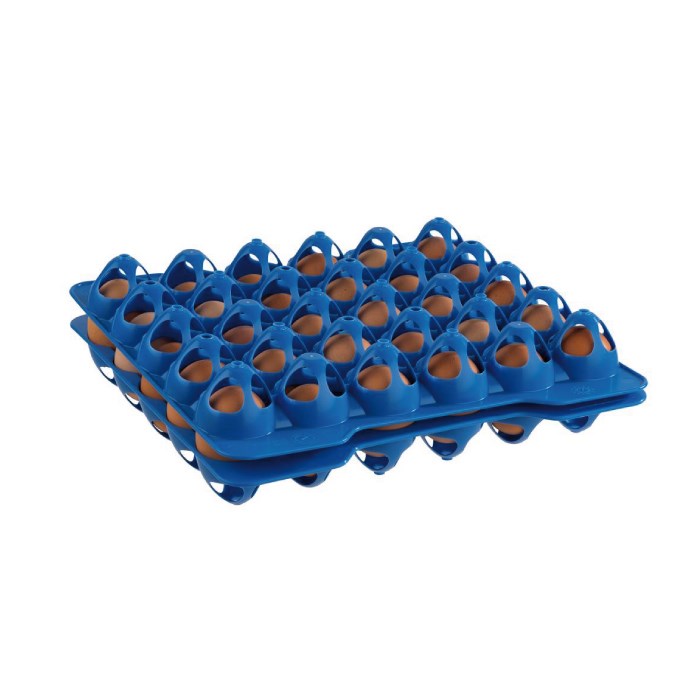 10 trays