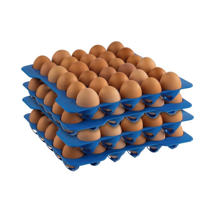 10 trays