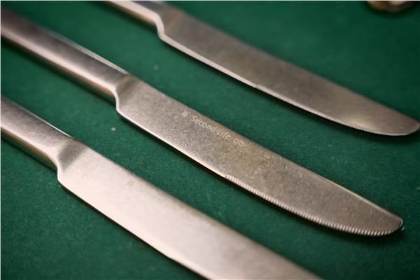 SECOND LIFE dinner knife - MIX OF MODELS