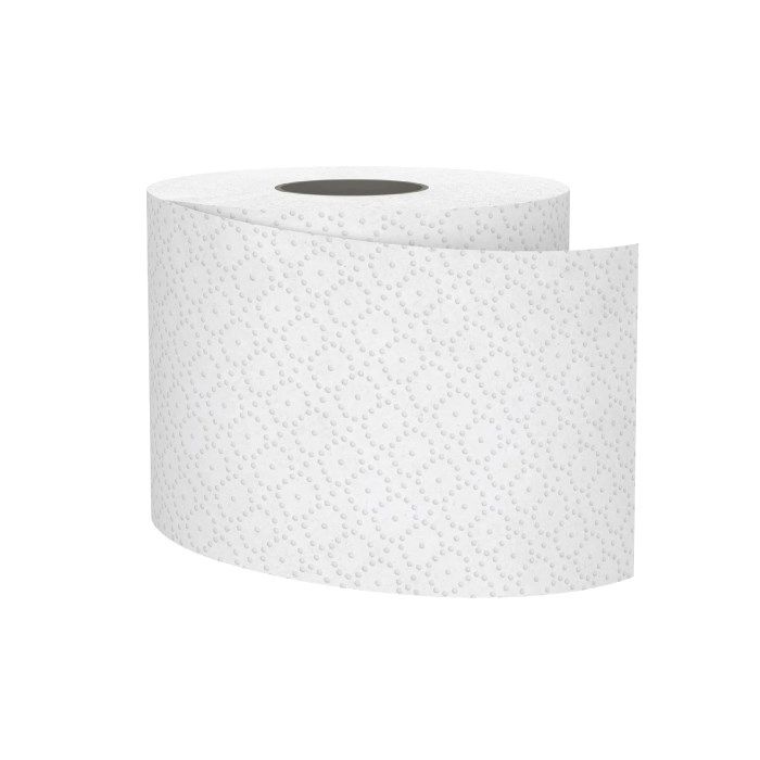 toal.pap.2vr. 250út/8 ks bílý SatinoSmart š.9,5cm,návin 27m MT1