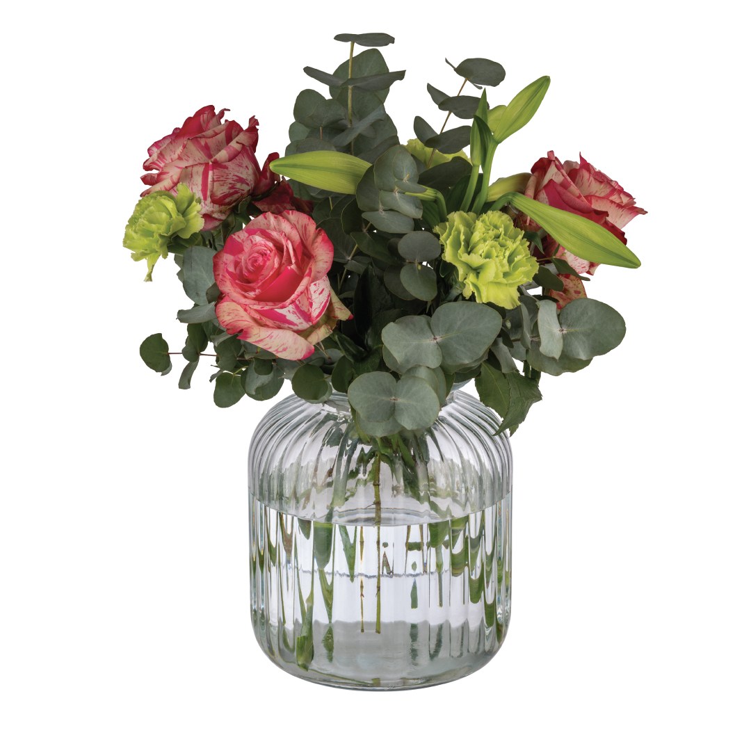 storage jar COOKIEGO 3 l 17,5x17,5 cm h. 27 cm including glass lid with seal