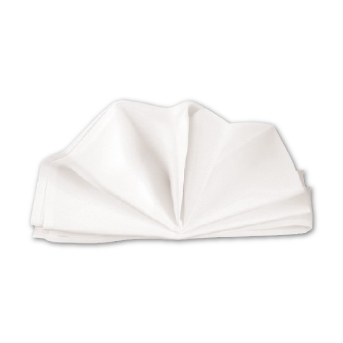 napkin 50x50 cm white plain, 200 g/m2